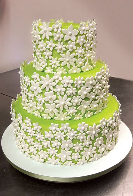 Spring Blossom Meadow Combination Cake