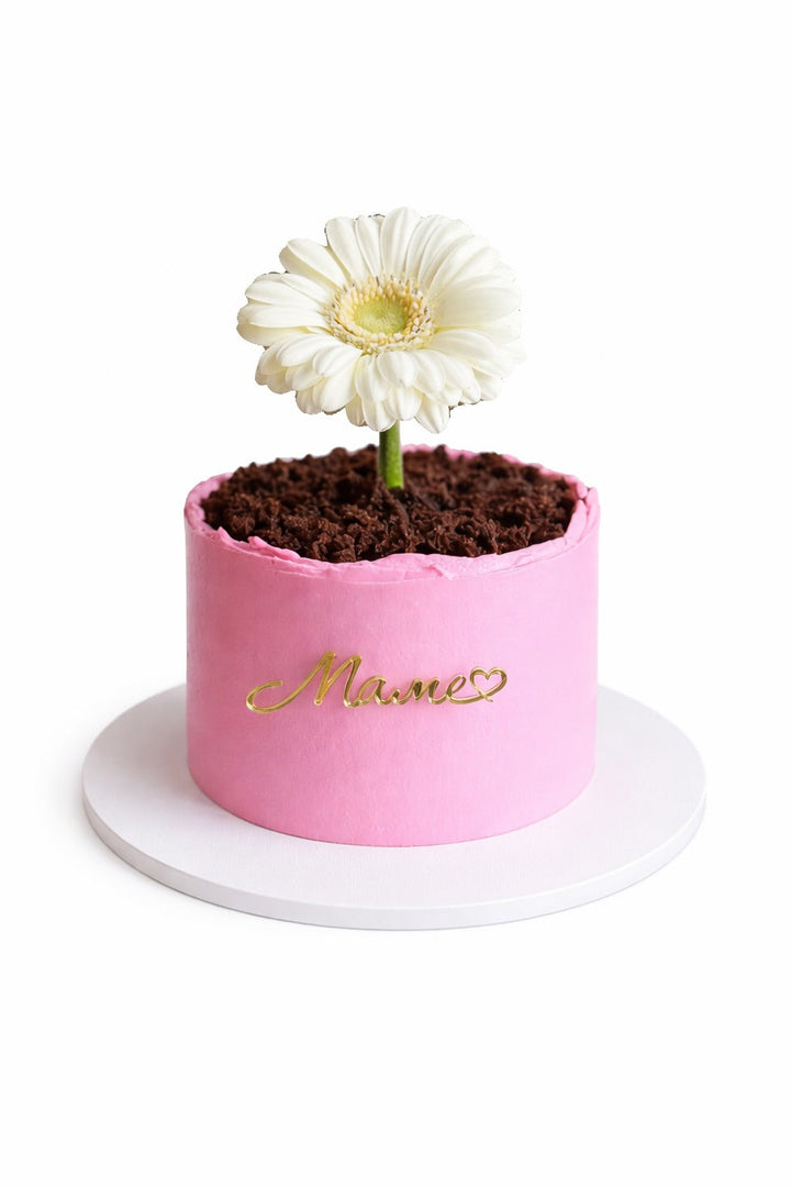 Daisy Flower Pot Cake