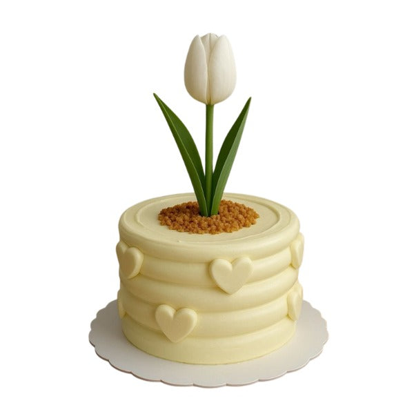 Tulip Flower Pot Cake